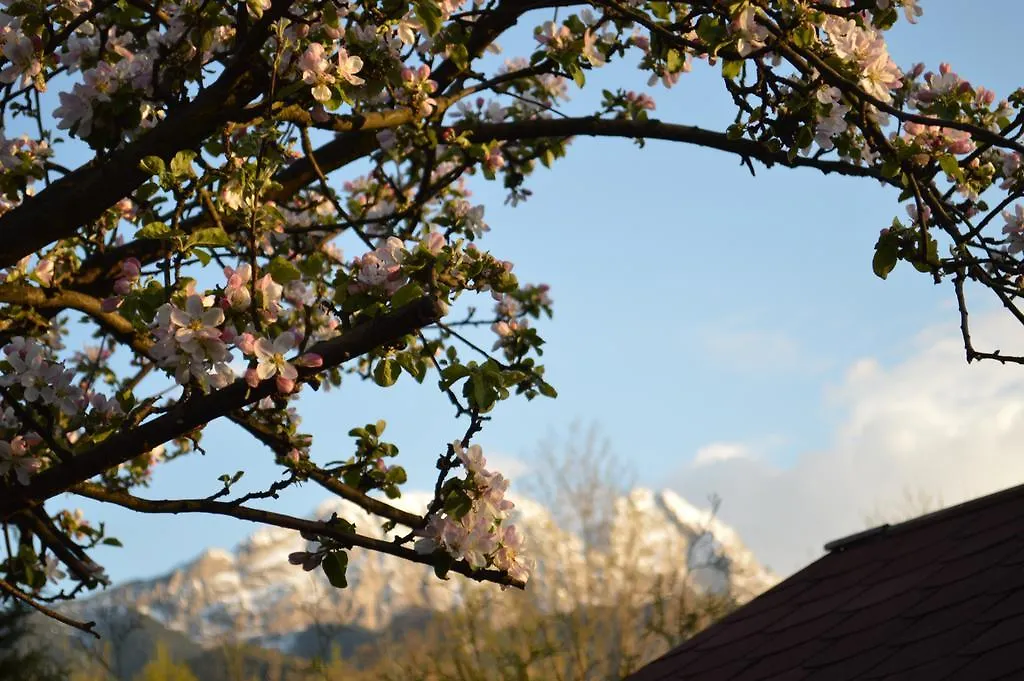 Willa 3 Swierki Apartment Zakopane Homestay