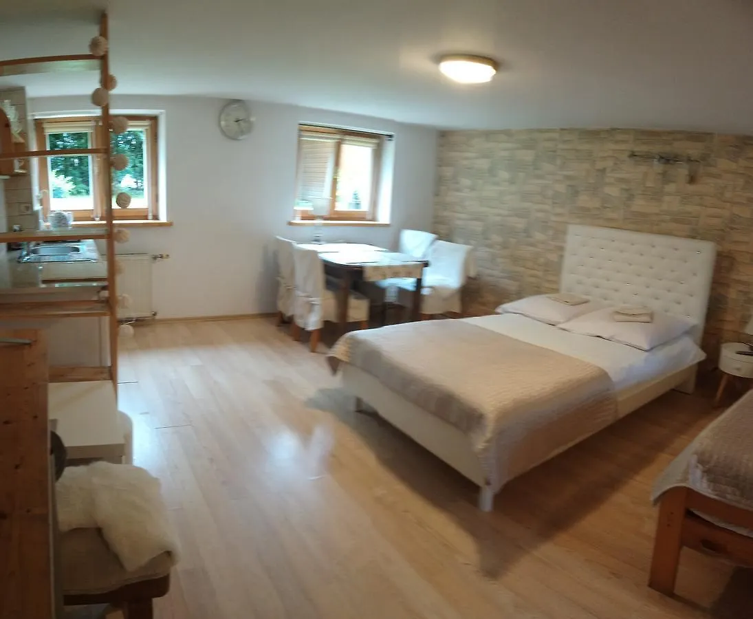 Kwatera prywatna Apartament Willa 3 Świerki Zakopane Polska